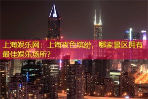 上海夜色缤纷，哪家景区拥有最佳娱乐场所？
